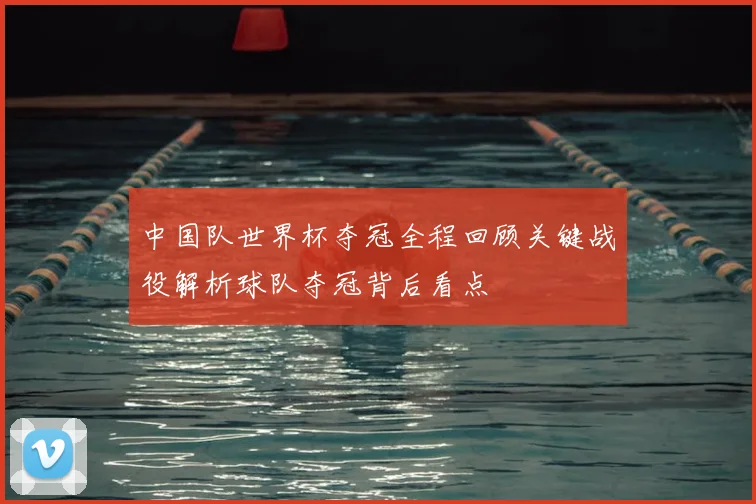 中国队世界杯夺冠全程回顾关键战役解析球队夺冠背后看点