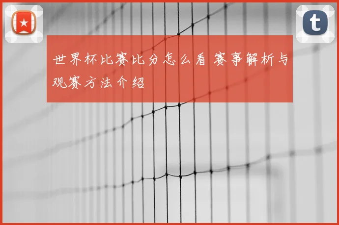 世界杯比赛比分怎么看 赛事解析与观赛方法介绍