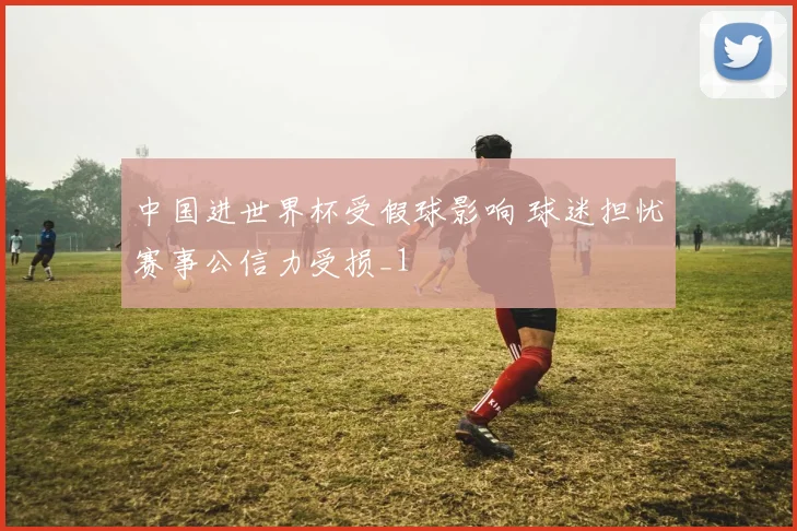 中国进世界杯受假球影响 球迷担忧赛事公信力受损_1