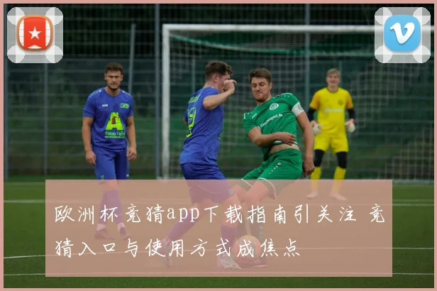 欧洲杯竞猜app下载指南引关注 竞猜入口与使用方式成焦点