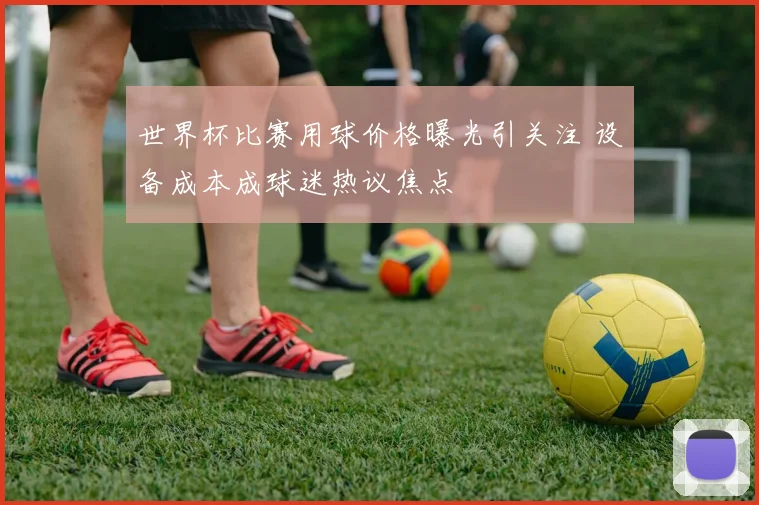 世界杯比赛用球价格曝光引关注 设备成本成球迷热议焦点