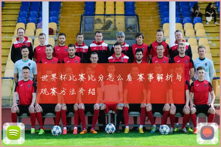 世界杯比赛比分怎么看 赛事解析与观赛方法介绍