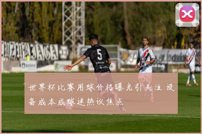 世界杯比赛用球价格曝光引关注 设备成本成球迷热议焦点